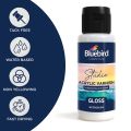 Bluebird Studio Acrylic Varnish 100ml for Acrylic Paintings - Premium Protective Gloss & Matt Finish for Canvas, Oil Paintings & Clay Art - Non-Yellowing, Quick-Drying Art Varnish. 