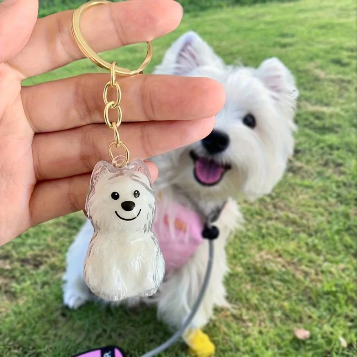 Dog%20Hair%20Storage%20Box%20Puppy%20Hair%20Memorial%20Keepsake%20Capsule%20Pet's%20Dog/Cat%20Fur%20Container%20Transparent%20Capsule%20Keychain%20Souvenirs%20-%20Image%203