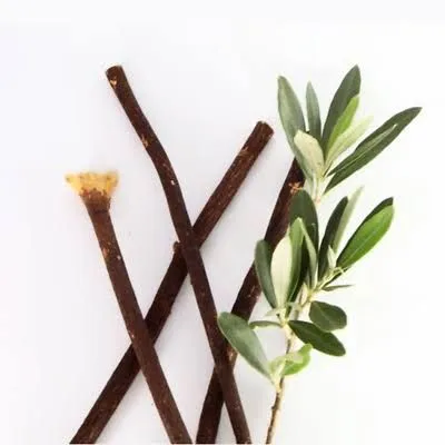 Zaitoon%20Miswak%20Herbal%20Natural%20Toothbrush%20Flavored%20Brush%20100%25%20Organic%20Tooth%20Stick%20-%20Image%205