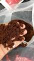 Coco Peat 1kg – Organic Cocopeat for Seedlings & Seed Sowing Mix  Ready to Use Potting Soil & Potting Mix  Natural Soil Conditioner with Moisture Retention for Healthy Root Growth  Ideal for Home Garden & Nursery Use Umbiz. 
