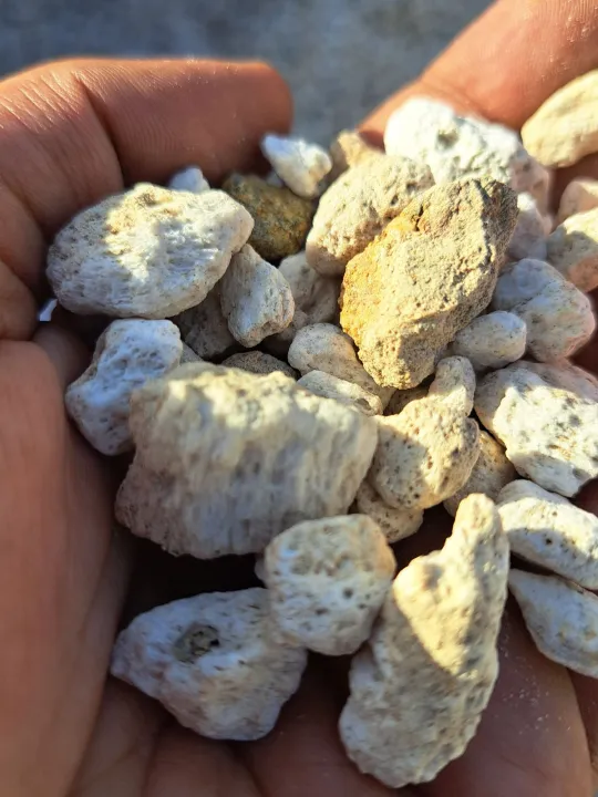 PUMICE%20STONE%20/10%20kg%20/%20FOR%20%F0%9F%8C%B5%20Cactus%20,%20succulent,%20drainage%20,%20lightweight%20concrete%20aggregate%20&%20bonsai%20soil%20mix%20-%20Image%204