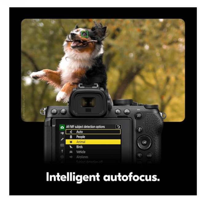 Nikon%20Z50%20II%20with%20Wide-Angle%20Zoom%20Lens%20%7C%20Compact%20mirrorless%20Stills/Video%20Camera%20with%20Easy%20Color%20presets%20and%20Wireless%20Photo%20Sharing%20-%20Image%206