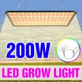 200W LED Full Spectrum Grow Lights Quantum Board Hydroponics Lamp US/EU Plug For Indoor Flower Greenhouse Seed Flower Vegetables. 