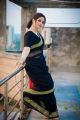 Traditional Half Silk Zori Pire 13 hand sarees for women. 
