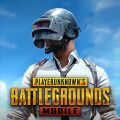 PUBG A-K-M Toy For KIDS - 21 Inch - Black. 
