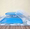 Transparent Plastic Multipurpose Food Storage Container Box - 2 Pcs Set. 
