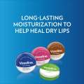 Vaseline Lip Therapy Rossy Lipy Cocoa Butter Aloe Vera -20g -1pc - Vaseline Lip Balm. 