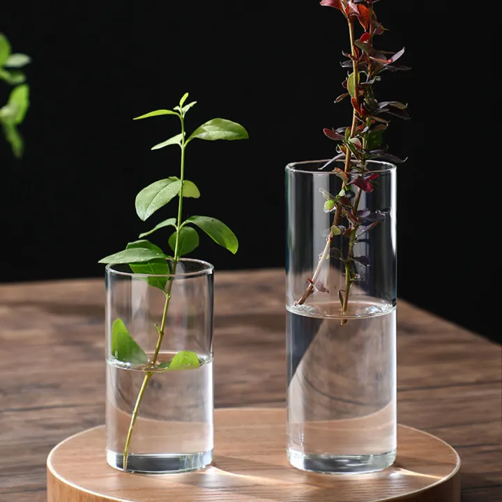 Transparent%20Glass%20Hydroponic%20Vase%20Minimalist%20Glass%20Vase%20Cylinder%20Flower%20Vase%20for%20Wedding%20Living%20Room%20Decorative%20Gift%20-%20Image%206