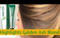 Bremod Professional Hair Color (9.1) Very Light  Ash Blond (Tube + Developer Volume) (100ml). 