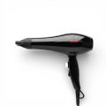 3000W Professional Hair Dryer with IONTEC Technology. 