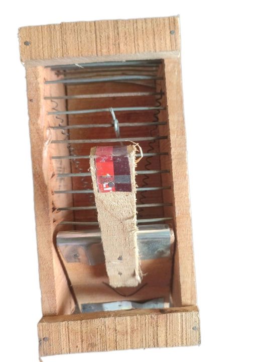 Wooden%20Mouse%20Trap%20For%20Traping%20The%20Mouse%20-%20Image%205