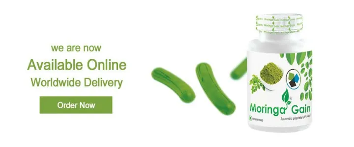 Moringa-%20Gain%2090-%20Serving%20-%20Image%203