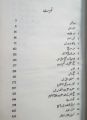 Hazrat Umer-e-farooq (RA) By M Hussain haikal Best book. 