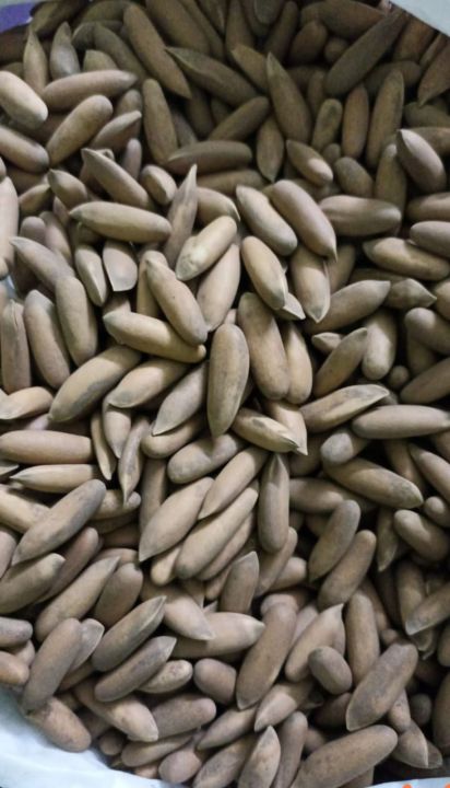 dry fruits chillgoza 1kg
