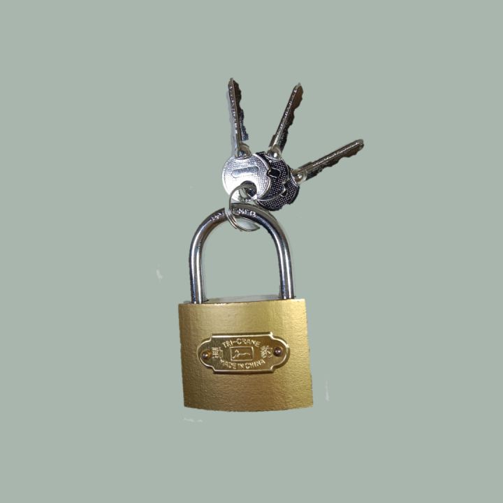 Golden Security Padlock with 2 Keys - Smart Size | Daraz.pk