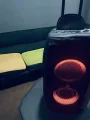 JBL 310 , 300 case. 