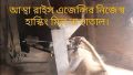 Astha Premium Bashmoti Rice 10 Kg. 