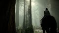 Shadow of the Colossus PS4. 