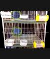 All Types of Many Floor Pigeon Cage – Made with 13 No. Wire & Complete Accessories (Tray, Water & Food Containers, Breeding Cloth) | Size 24×18×13 Wholesale & Retail in Bangladesh. 