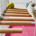 Parrot Pet Raw Standing Stick Wood Hanging Stand Rack Toy Sticksstand Parakeet Branch Perches For Bird Cage Bar Pet Supplies.