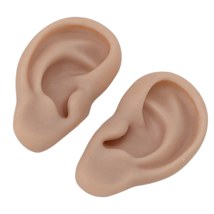 Silicone%20Human%20Ear%20Model%201%20Pair%20Silicone%20Ear%20Model%20Soft%20Flexible%20Simulation%20Ear%20Model%20for%20Earrings%20Display%20Ear%20Piercing%20Exercise%20-%20Image%205