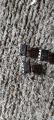 Ic 741 UA741 LM741 Operational Amplifier op-amp best op amp. 