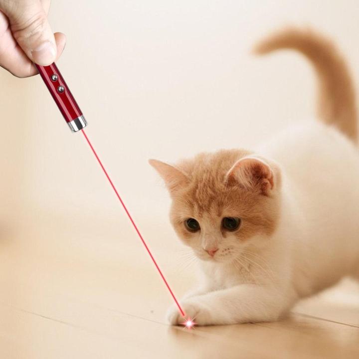 Laser%20Pointer%20For%20Cats%20Light%20Pointer%20Interactive%20Toys%20Training%20Exercise%20Cat%20Enrichment%20Toys%20Hunting%20Cat%20Kitten%20Playing%20Toys%20-%20Image%205