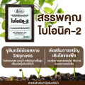 Bionic Bionic (Pat.2) 100 Grams, Microbial Accelerator 2, Used to Make Liquid Compost. Powder to Accelerate the Production of Liquid Organic Fertilizer. Accelerant for Making Compost, Biological Composting Liquid, Accelerant 2. 