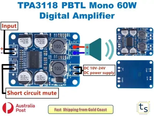 Original Tpa 3118 chip 12V-24V TPA3118 60W Mono Digital Audio Power ...