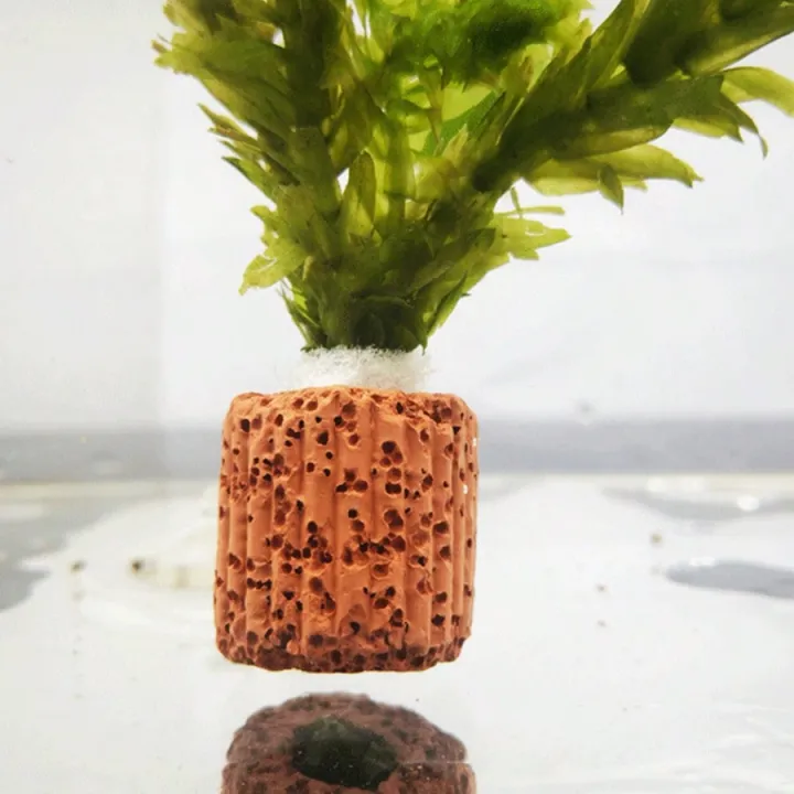 High%20%20%20Quality%20Aquarium%20Plant%20Fixation%20Rings%20-%20Breathing%20Rings%20for%20Aquatic%20Plants%20Ensure%20Stability%20and%20%20Health%20in%20Aquascaping%20-%20Image%206