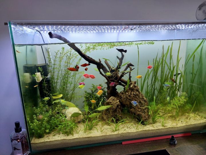 Beige%20sand%20(skin%20sand)%20for%20Aquarium,%20live%20plants,%20fish,%20freshwater%20tank%20and%20resin%20art%20or%20garden%20decoration%20-%20Image%208