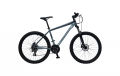 26 inchi 21 Speed Gear Cycle With Suspension Lockout fork High Rim Coloring Fat Spoke With Shimano Parts.