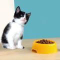 Cat Dog Food Bowl. 