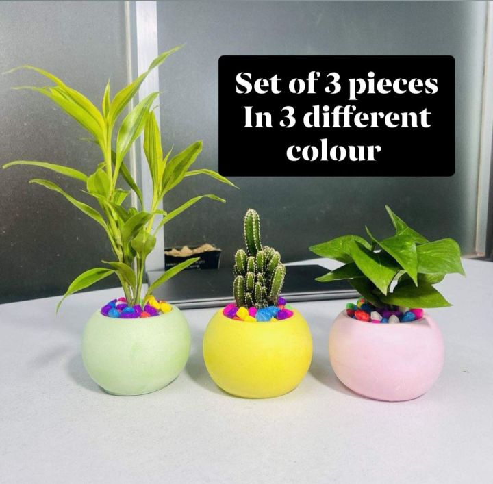 Cactus%20or%20succulent%20plantable%20round%20vase%203%20piece%20in%20different%20colour%20-%20Image%204