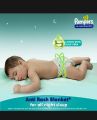 Pampers Diapers for Baby Pants Large 36 pcs for 9 to 14 kg Weight Baby. 