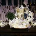 RAFEEQ STORE Cherry Blossom String Lights - 20 LED Garland for Home Decor & Parties Artificial Cherry Blossom Flower String Lights for Bedroom, Party & Outdoor Decor Fairy Lights Cherry Blossom Garland - 20 LED Lights For Home, Mirror And Wall Decoration. 