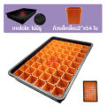 * Quick delivery * Daiso tray, Daiso tray with 2-inch pots, 54 square leaves, Daiso tray with hole, Daiso tray, no hole, seedling tray, seedling tray. 