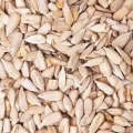 Sunflower Seeds 50g. 