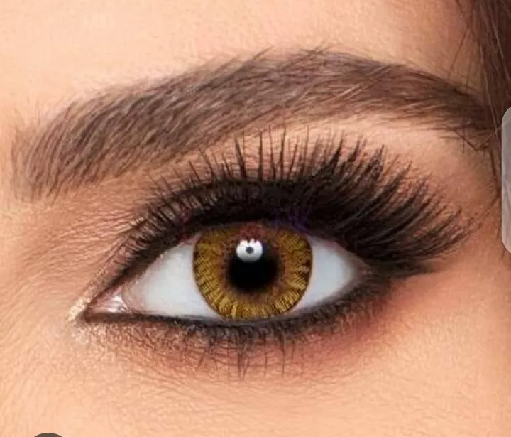 Transparent%20Contact%20Lenses/Clear%20Contact%20Lenses/Blue%20Tint%20Contact%20Lenses/Soft%20Contact%20Lenses/Extended%20wear%20Contact%20Lenses,%20Available%20Power%20-0.5%20to%20-10.0%20With%20High%20Quality%20kit%20and%20best%20High%20Quality%20lens%20solution%20-%20Image%205