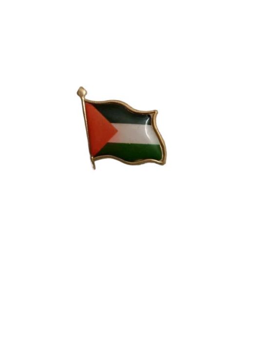 PALESTINE BADGE WITH SIMPLE PIN. ONE BADGE IN THE PACKAGE.