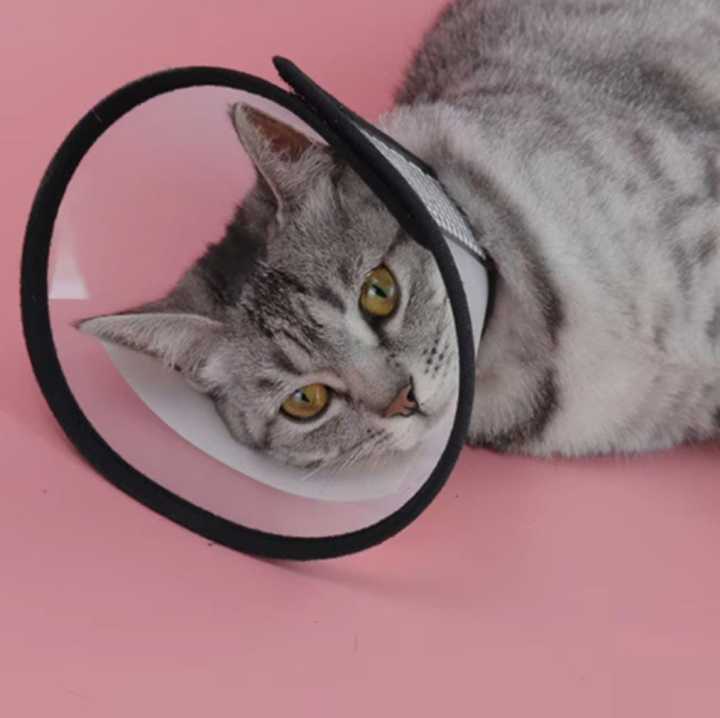 Cat%20Anti-Bite%20Collar%20Pet%20Medical%20Recovery%20Collar%20Transparent%20Cat%20Protection%20Cover%20Protective%20E%20collar%20for%20Cats%20and%20Dogs%20-%20Image%203