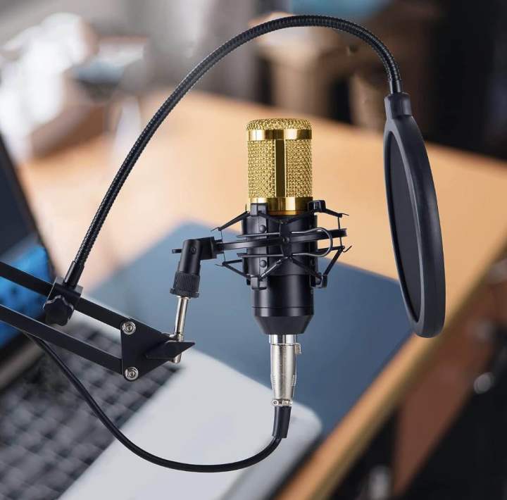 V9%20Studio%20Condenser%20Microphone%20&%20Sound%20Card%20%E2%80%93%20Perfect%20for%20Live%20Streaming,%20Karaoke,%20and%20Podcasting%20-%20Image%206