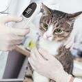 Pet Ear Digital Thermometer Non-Contact Electronic Dog Ear Thermometers Dogs Puppy Cats Measuring for Veterinary Pet Supplies.