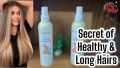 Conditioner Spray for Hair Unit / Hair Extension for soften – Olive Babies Detangling Leave In Conditioner – 237 ML. 