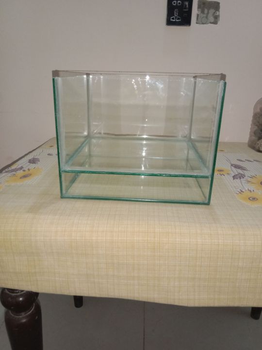 Nano%20fish%20tank%20-%20Image%202