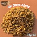 Black soldier flies Dried larvae (50 grams) {BSFL}. 