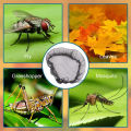 1Pc Mesh Cover Netting For Rain Barrels Water Collection Buckets Anti-Mosquito Cover Tank Raindrop Harvesting Tool. 