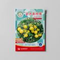 Cherry Tomato. 