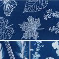100/200ml Cyanotype Liquid DIY Kit Fabric Printmaking Textile Linen Fabric Wood Making Liquid Sponge Brush Paper Cyanotype Sets. 