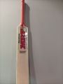 HardBall Cricket Bats - Affordable and best Quality - Lightweight - willow bats. 